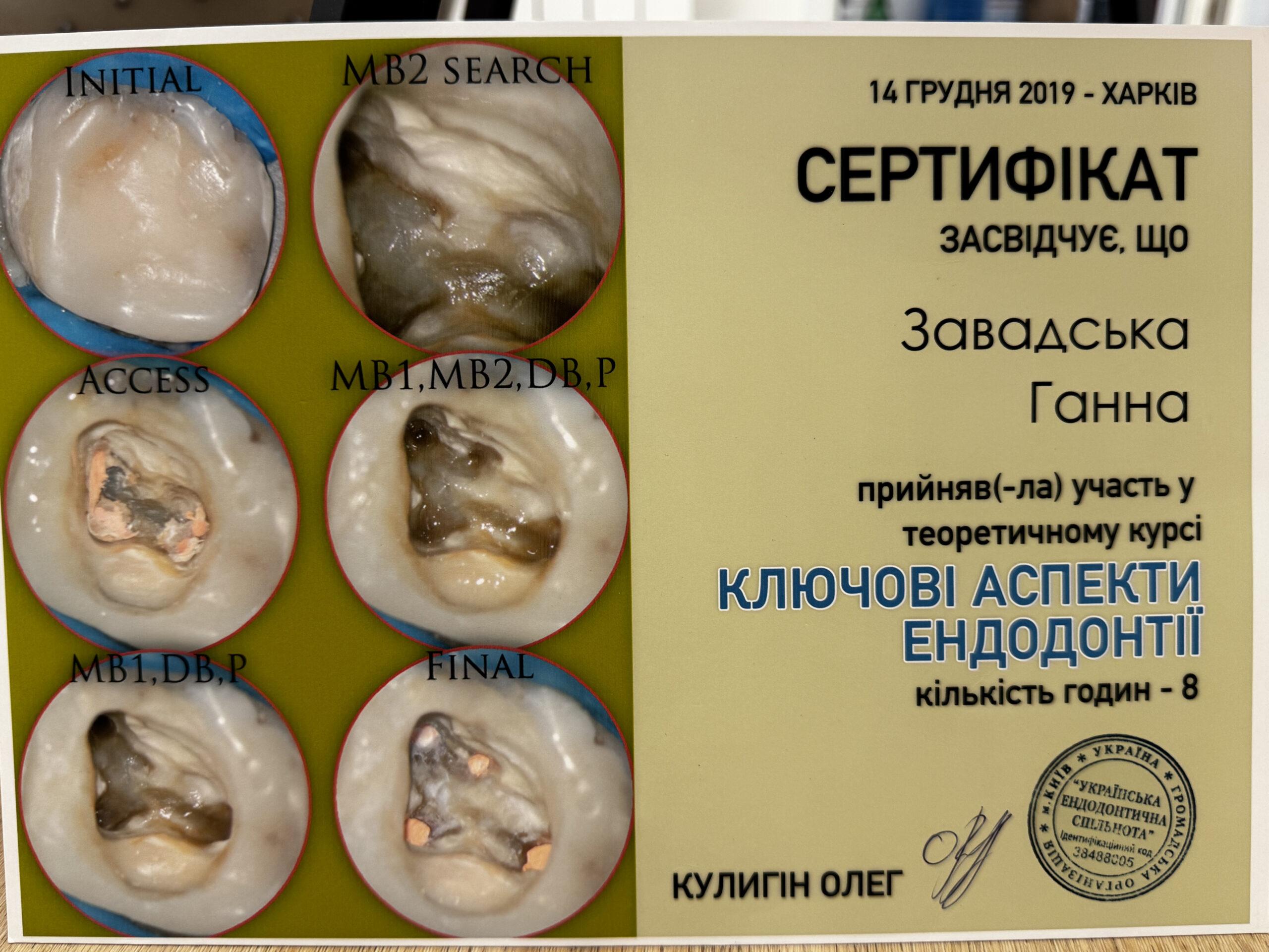 Баландова Ганна, сертифікат 5